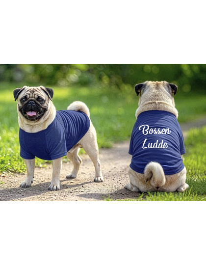 Raglan T-Shirt Hund - Valfritt Tryck