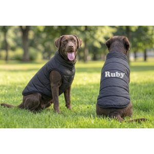 Puffer Jacket Hund - Valfri Brodyr