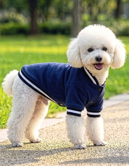 Varsity Jacket Hund - Valfritt Tryck - Bild 2